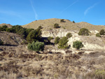 Afloramiento de marcasitas, Rambla en finca La Canyaeta Blanca, Agost, Alicante