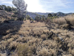 Afloramiento de marcasitas, Rambla en finca La Canyaeta Blanca, Agost, Alicante