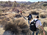 Afloramiento de marcasitas, Rambla en finca La Canyaeta Blanca, Agost, Alicante