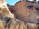 Afloramiento de marcasitas, Rambla en finca La Canyaeta Blanca, Agost, Alicante