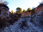   Afloramiento de marcasitas, Rambla en finca La Canyaeta Blanca, Agost, Alicante