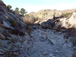    Afloramiento de marcasitas, Rambla en finca La Canyaeta Blanca, Agost, Alicante