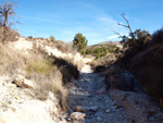    Afloramiento de marcasitas, Rambla en finca La Canyaeta Blanca, Agost, Alicante