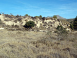    Afloramiento de marcasitas, Rambla en finca La Canyaeta Blanca, Agost, Alicante