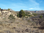    Afloramiento de marcasitas, Rambla en finca La Canyaeta Blanca, Agost, Alicante