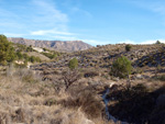    Afloramiento de marcasitas, Rambla en finca La Canyaeta Blanca, Agost, Alicante