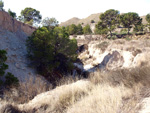    Afloramiento de marcasitas, Rambla en finca La Canyaeta Blanca, Agost, Alicante