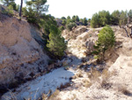    Afloramiento de marcasitas, Rambla en finca La Canyaeta Blanca, Agost, Alicante