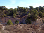    Afloramiento de marcasitas, Rambla en finca La Canyaeta Blanca, Agost, Alicante