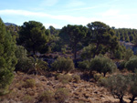  Afloramiento de marcasitas, Rambla en finca La Canyaeta Blanca, Agost, Alicante