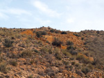 Minas de Ocre.El Sabinar. San Vicente/Mutxamel. Alicante