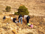 Minas de Ocre.El Sabinar. San Vicente/Mutxamel. Alicante