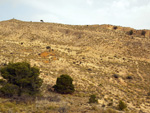   Minas de Ocre.El Sabinar. San Vicente/Mutxamel. Alicante