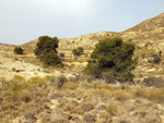   Minas de Ocre.El Sabinar. San Vicente/Mutxamel. Alicante