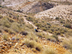   Minas de Ocre.El Sabinar. San Vicente/Mutxamel. Alicante