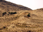   Minas de Ocre.El Sabinar. San Vicente/Mutxamel. Alicante