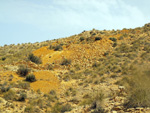    Minas de Ocre.El Sabinar. San Vicente/Mutxamel. Alicante