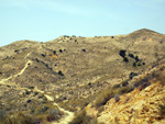    Minas de Ocre.El Sabinar. San Vicente/Mutxamel. Alicante