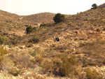    Minas de Ocre.El Sabinar. San Vicente/Mutxamel. Alicante