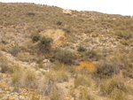 Grupo Mineralógico de Alicante.  Minas de Ocre.El Sabinar. San Vicente/Mutxamel. Alicante 