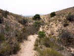   Minas de Ocre.El Sabinar. San Vicente/Mutxamel. Alicante