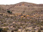   Minas de Ocre.El Sabinar. San Vicente/Mutxamel. Alicante