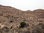   Minas de Ocre.El Sabinar. San Vicente/Mutxamel. Alicante