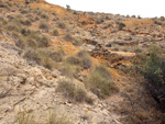   Minas de Ocre.El Sabinar. San Vicente/Mutxamel. Alicante