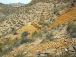    Minas de Ocre.El Sabinar. San Vicente/Mutxamel. Alicante