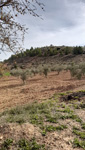 Afloramiento de Aragonitos. Casas de Ves. Albacete