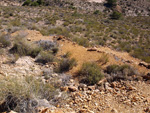    Minas de Ocre.El Sabinar. San Vicente/Mutxamel. Alicante