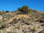   Minas de Ocre.El Sabinar. San Vicente/Mutxamel. Alicante