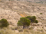   Minas de Ocre.El Sabinar. San Vicente/Mutxamel. Alicante