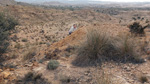    Minas de Ocre.El Sabinar. San Vicente/Mutxamel. Alicante