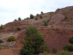  .Zona los Pajaritos. Llano del Beal - La Unión - Sierra minera de Cartagena y la Unión - Murcia