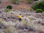 Zona los Pajaritos. Llano del Beal - La Unión - Sierra minera de Cartagena y la Unión - Murcia