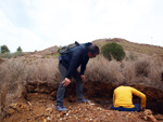 Zona los Pajaritos. Llano del Beal - La Unión - Sierra minera de Cartagena y la Unión - Murcia