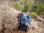 Zona los Pajaritos. Llano del Beal - La Unión - Sierra minera de Cartagena y la Unión - Murcia