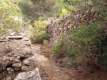  Zona los Pajaritos. Llano del Beal - La Unión - Sierra minera de Cartagena y la Unión - Murcia