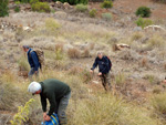   Zona los Pajaritos. Llano del Beal - La Unión - Sierra minera de Cartagena y la Unión - Murcia