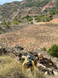   Cantera de Áridos de Sodira. Busot. Alicante