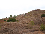   Zona los Pajaritos. Llano del Beal - La Unión - Sierra minera de Cartagena y la Unión - Murcia