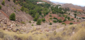 Zona los Pajaritos. Llano del Beal - La Unión - Sierra minera de Cartagena y la Unión - Murcia