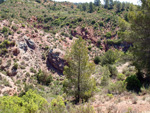 Barranco de la  Terzaga. Camporrobles. Valencia