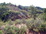 Grupo Mineralógico de Alicante.  Barranco de la  Terzaga. Camporrobles. Valencia 