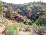 Grupo Mineralógico de Alicante.  Barranco de la  Terzaga. Camporrobles. Valencia 