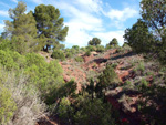 Barranco de la  Terzaga. Camporrobles. Valencia