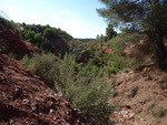 Barranco de la  Terzaga. Camporrobles. Valencia