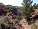 Barranco de la  Terzaga. Camporrobles. Valencia