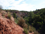 Barranco de la  Terzaga. Camporrobles. Valencia